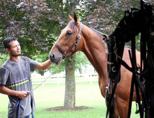 Two-year-olds make qualifying debuts at Pocono